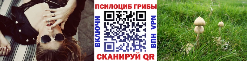 Галлюциногенные грибы мицелий  Гвардейск 